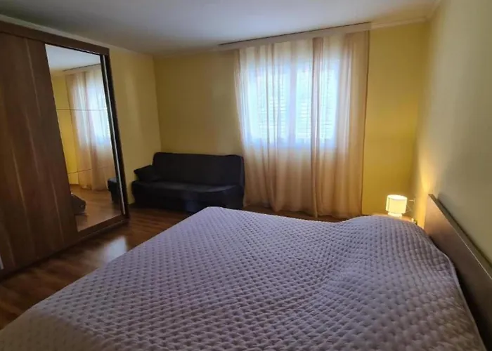 Josip * أوروبيتش