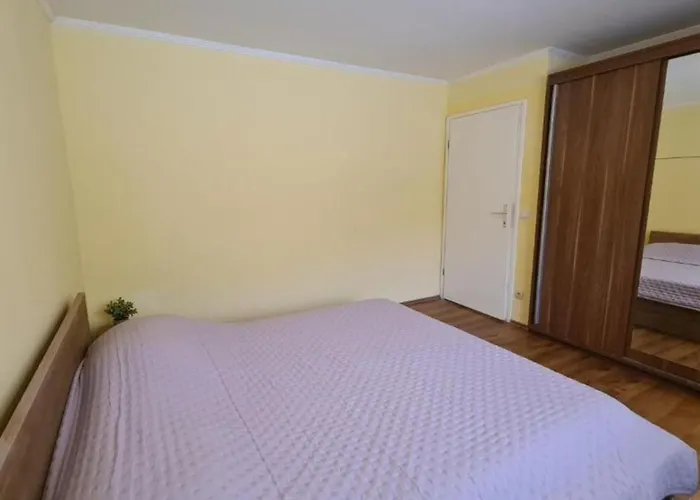 Josip * أوروبيتش